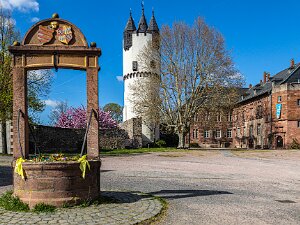 Steinheim am Main